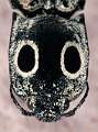 Alaus oculatus